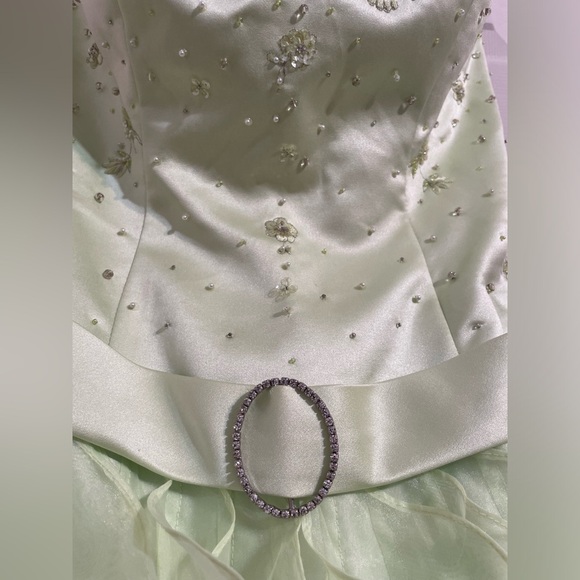 Camille La Vie Green Ruffled Long Gown - Picture 4 of 7